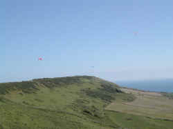 3 wings at Kimmeridge.jpg (49561 bytes)