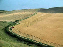 Gathering the Harvest kimmeridge_IMG.jpg (131950 bytes)