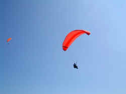 Noodles soaring.jpg (31446 bytes)