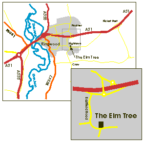 The Elm Tree